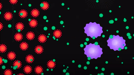 Sistema inmune: ¿Cómo se defiende nuestro cuerpo del coronavirus?